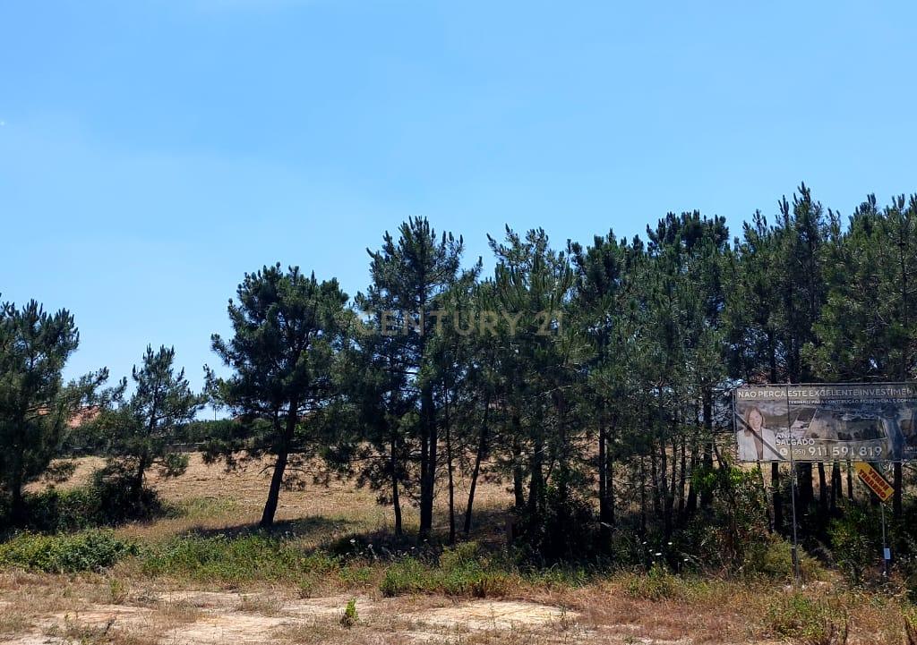 Oportunidade Única: Terreno de 11.700 m², localização central na Charneca da Caparica - Image 12