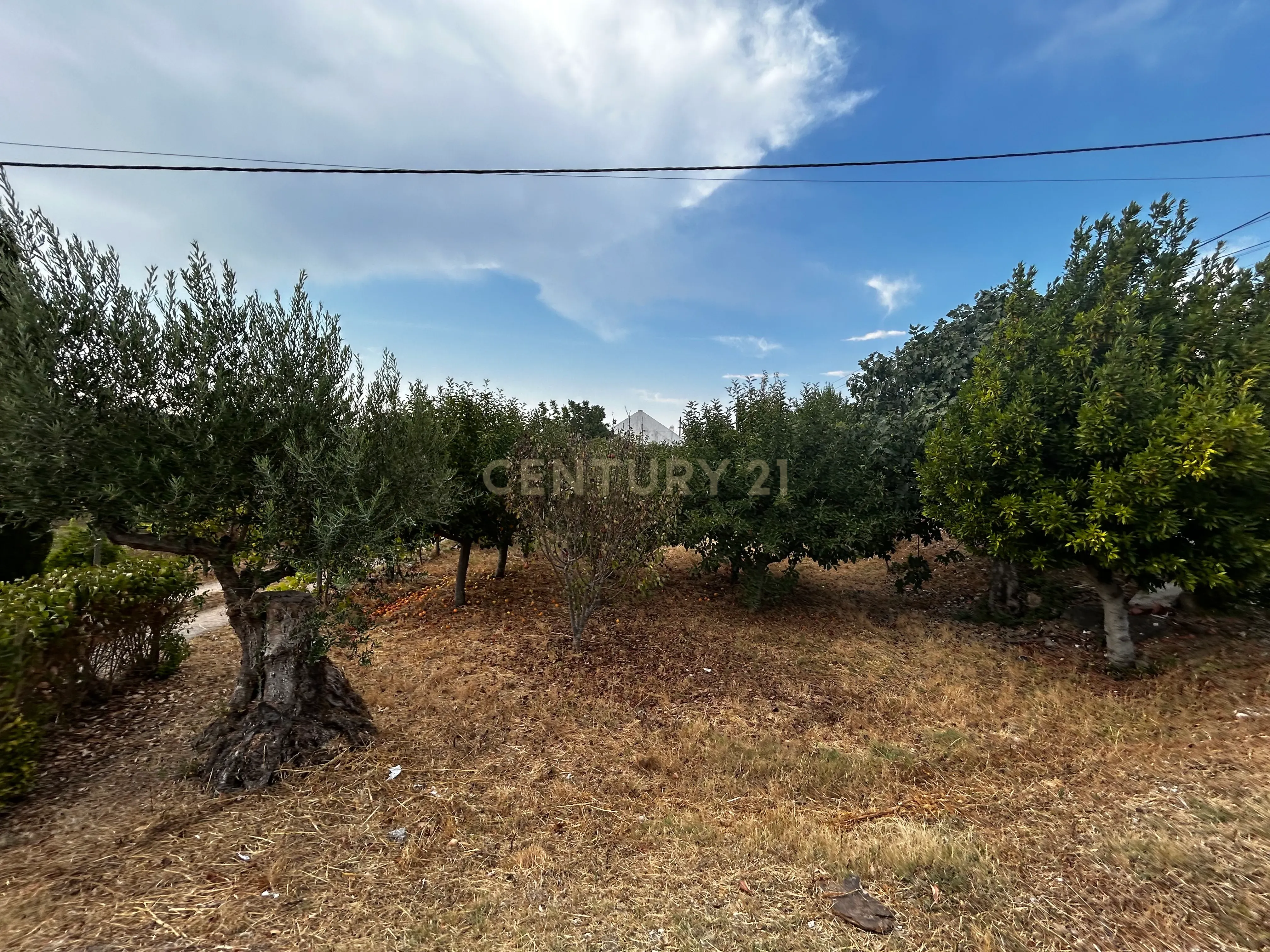 Fotografia 4 de Moradia em Tomar, Santarém - Oportunidade Única