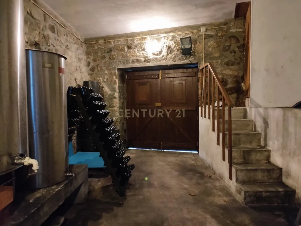 Quinta com ancestral moradia para habitação particular ou turismo de habitação em Felgueiras, Resende, Viseu - Image 46