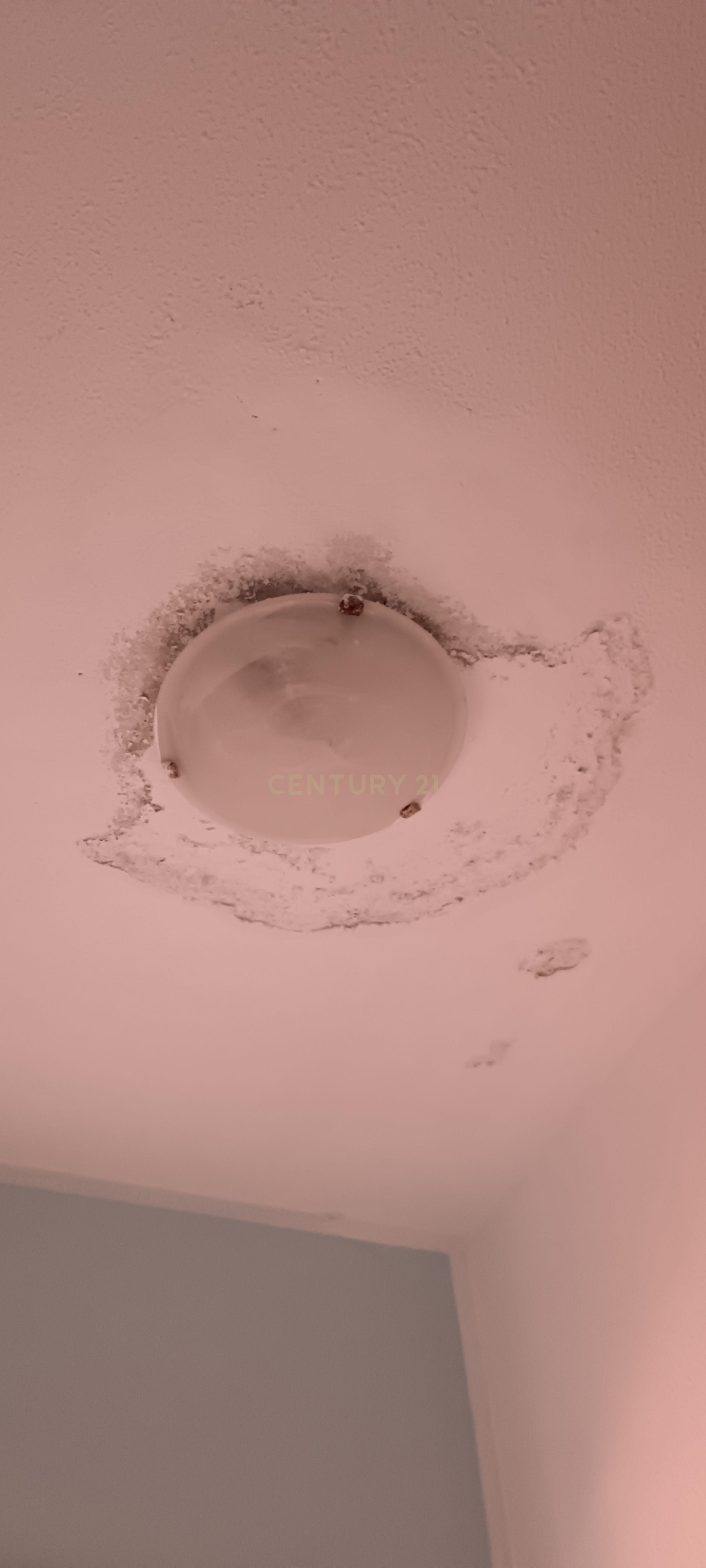 - Image 25