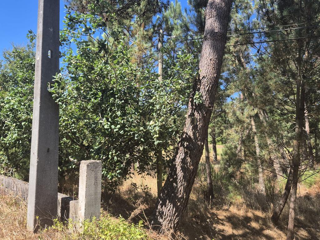 Terreno para Construção em Pombal, Leiria - Oportunidade Única! - Image 26