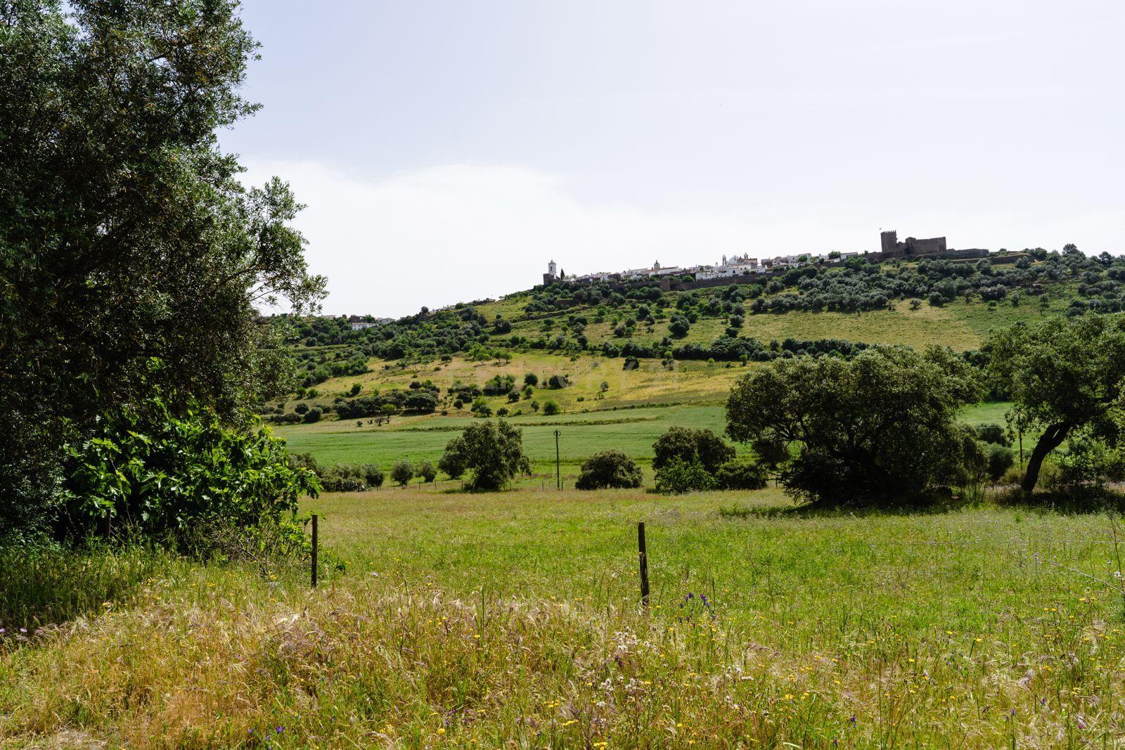 Fotografia 12 de Terreno em Monsaraz junto ao Castelo