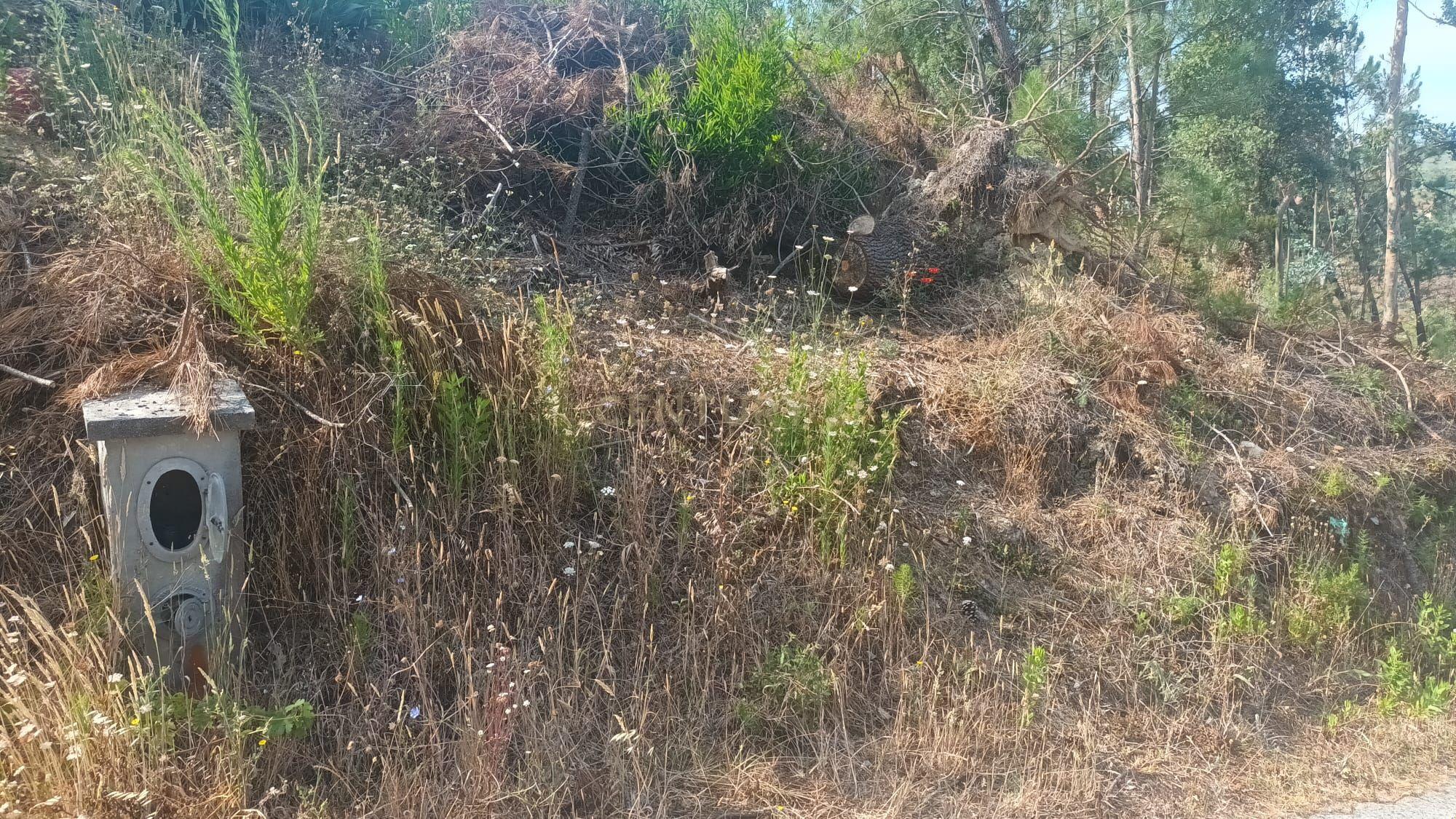 Fotografia 3 de Terreno Urbano para construção no  Arrabal , 1.850m2