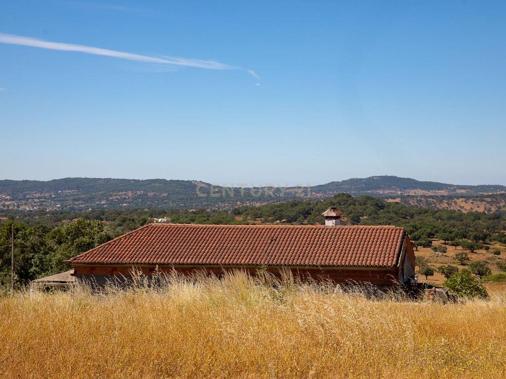 Quinta com 2,5 hectares em Portalegre - Image 2