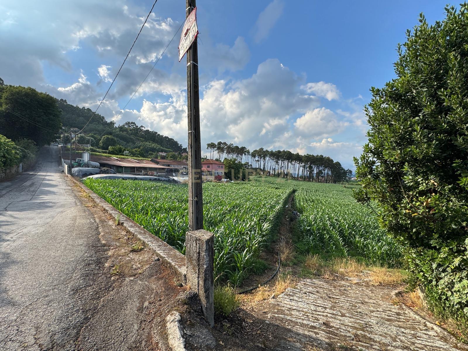 Fotografia 5 de Terreno Rústico com 10.000 m² em Monte de Fralães – Barcelos