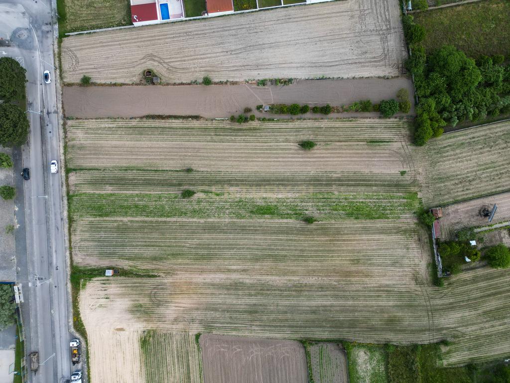 Terreno no centro do Paião, Figueira da foz - Image 5