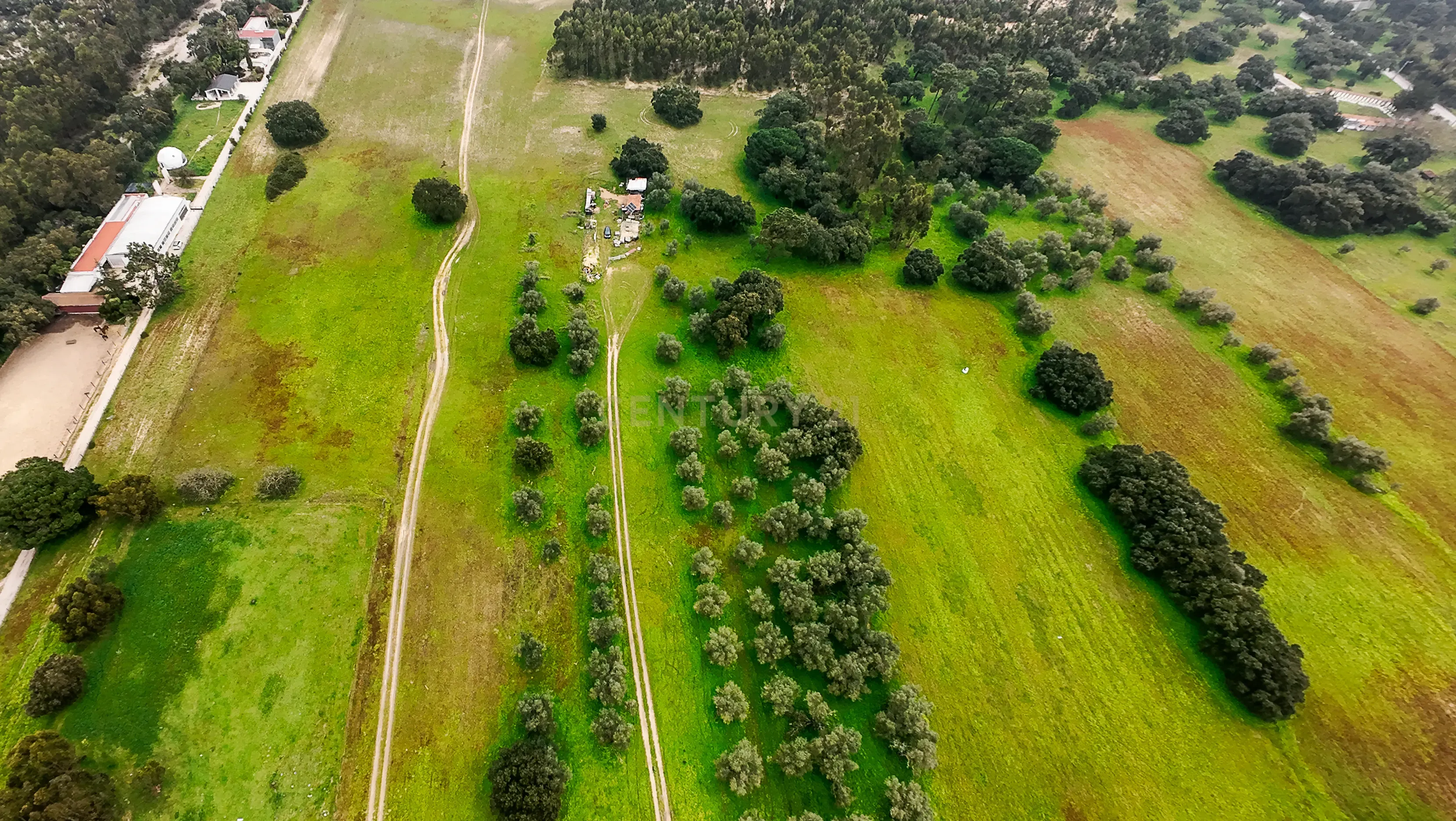 Fotografia 11 de Quinta do Anjo - Terreno Rústico com 10 000m2