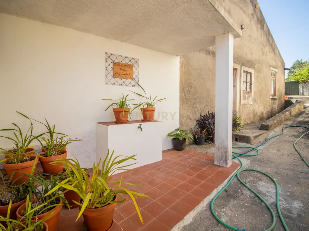 Casa antiga para recuperar com terreno e árvores de fruto, Alhadas, Figueira da Foz. - Image 30