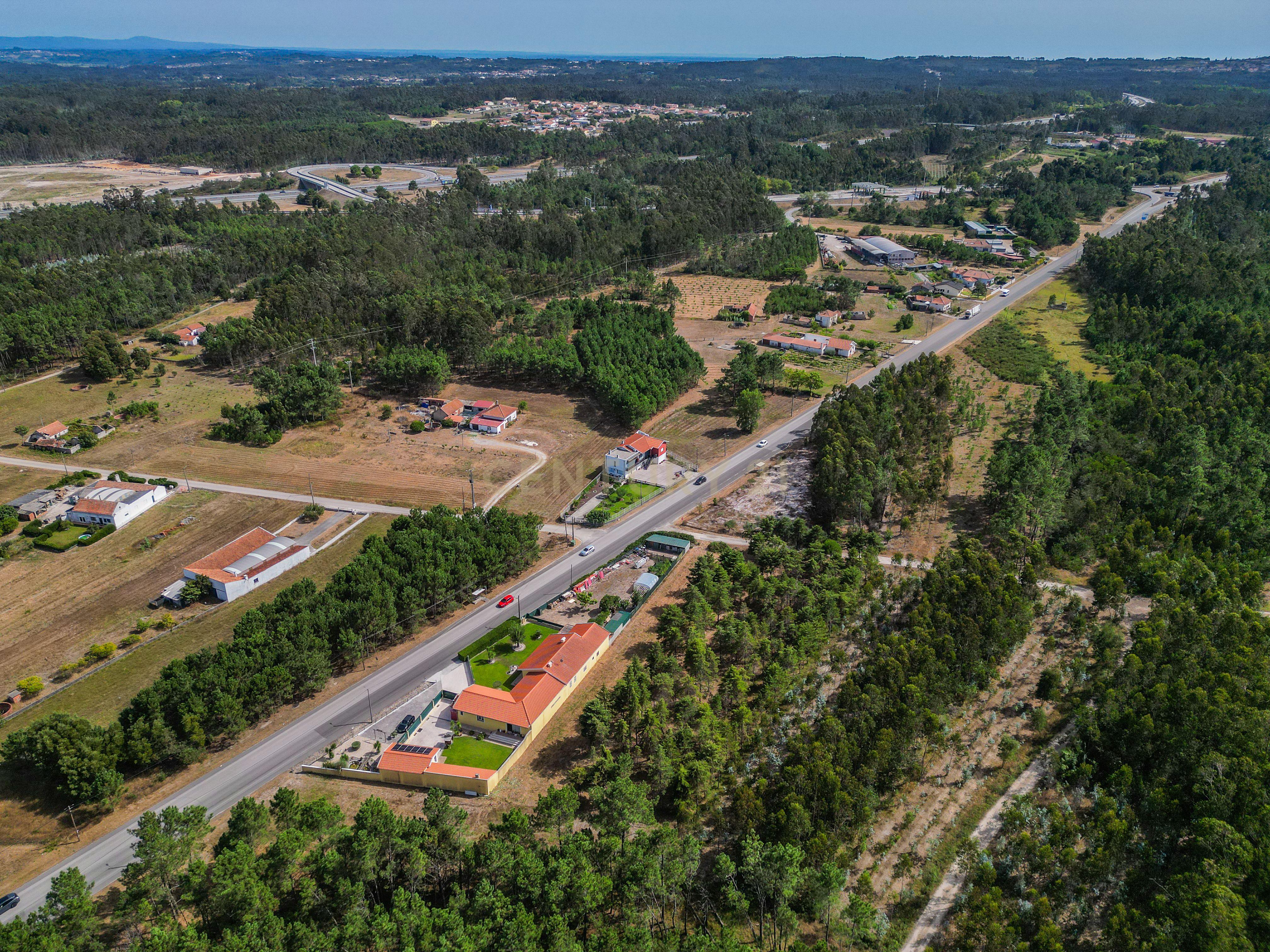 Fotografia 9 de Terreno com cerca de 3.300 m² em zona de pinhal, em Casal Novo, Quiaios – Figueira da Foz