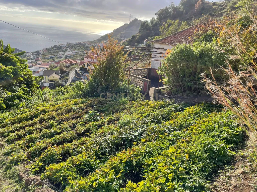 Moradia Antiga T2 (para recuperar) - Campanário - Ribeira Brava - Image 11