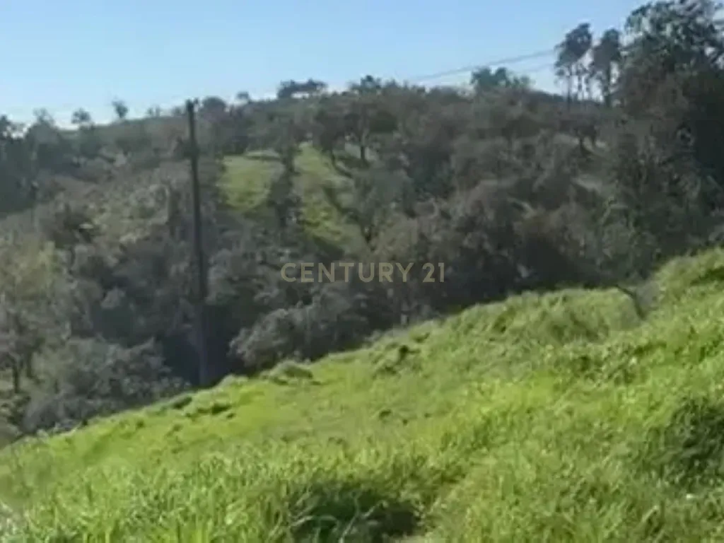 Terreno para Reconstrução, com Água, Natureza e bons acessos, em Cravais de Cima, Salir, Loulé, Algarve. - Image 9