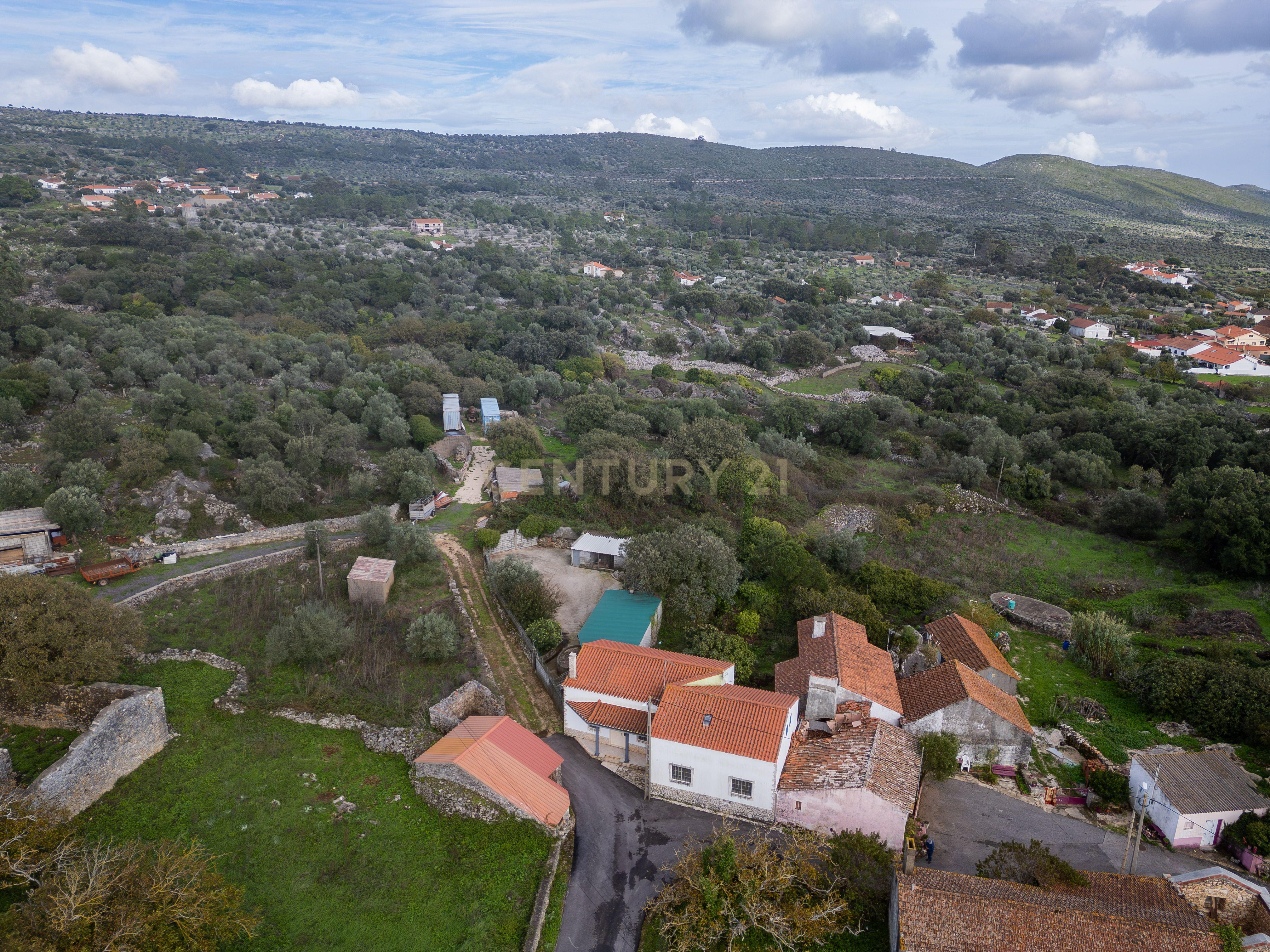 Fotografia 8 de Casinha de pedra em Serra de Santo António