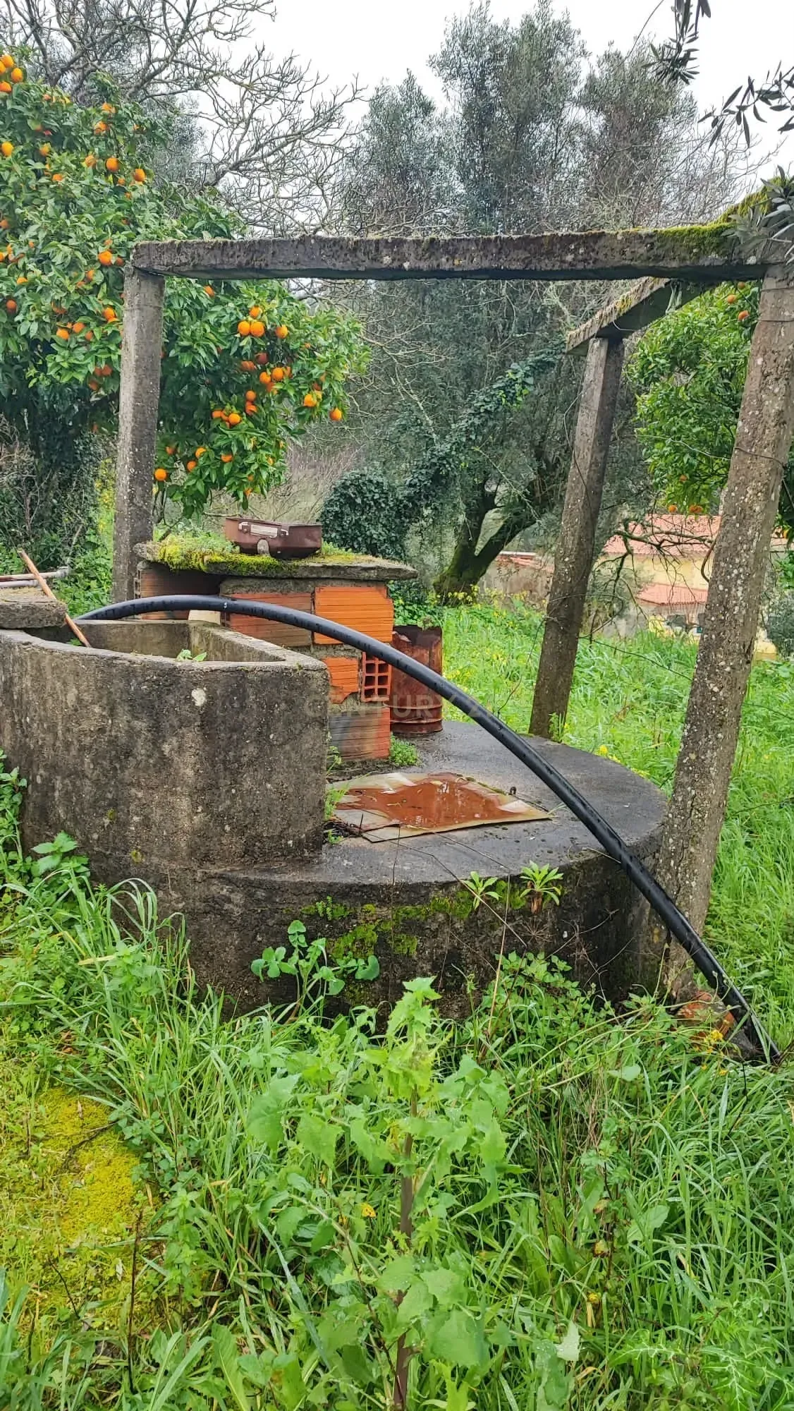 Fotografia 12 de Propriedade para Recuperação em Areias, Ferreira do Zêzere