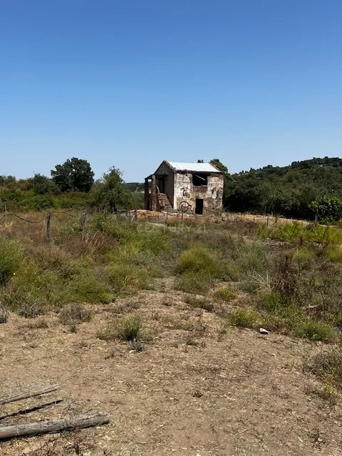 Quinta localizada em Amieira do Tejo, em Nisa, distrito de Portalegre - Image 22