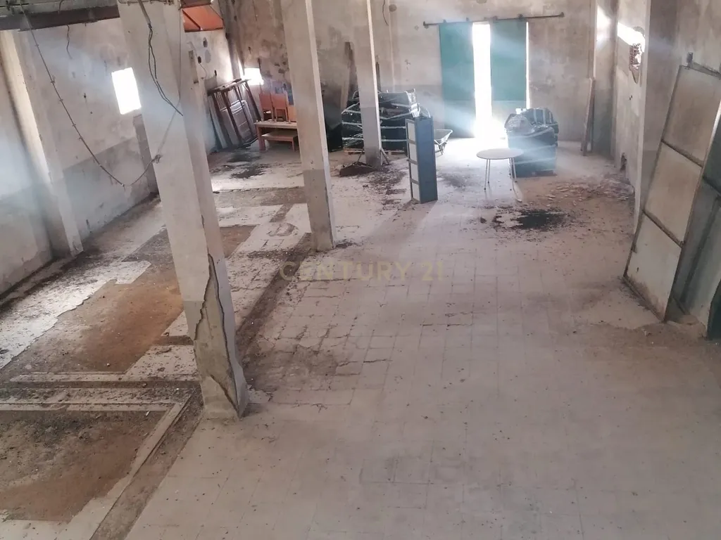 Armazém (565 m2 ) em pleno centro habitacional na Vidigueira para usar ou transformar! - Image 10