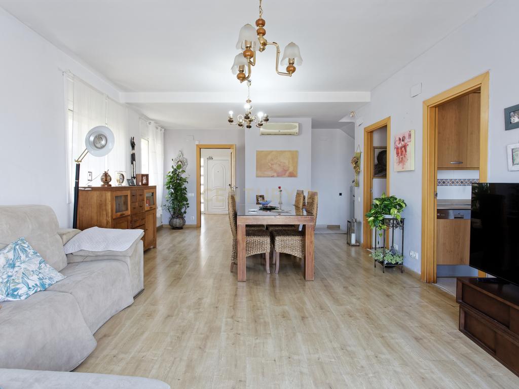 - Image 12