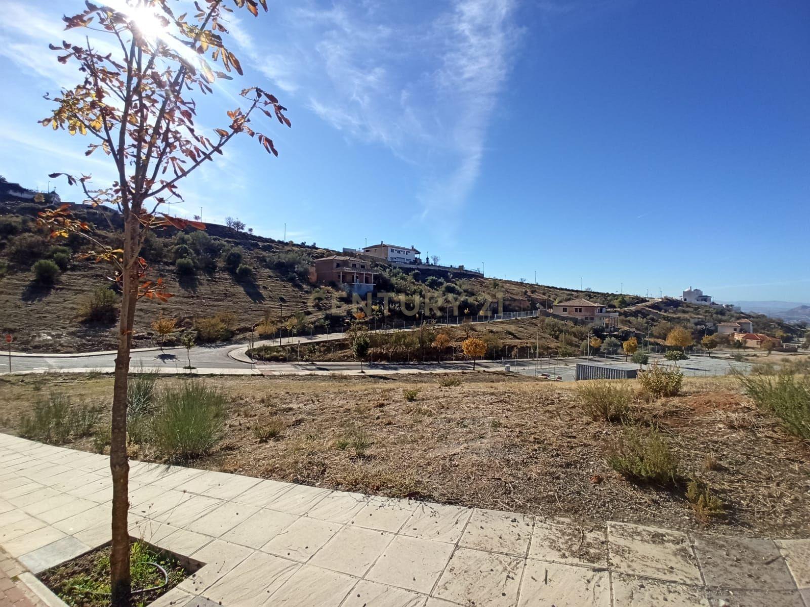 undefined - Image 2