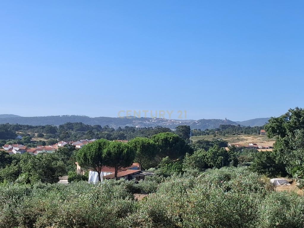 Terreno Rústico, 3800m2 em Aldeia do Bispo, Penamacor - Image 1