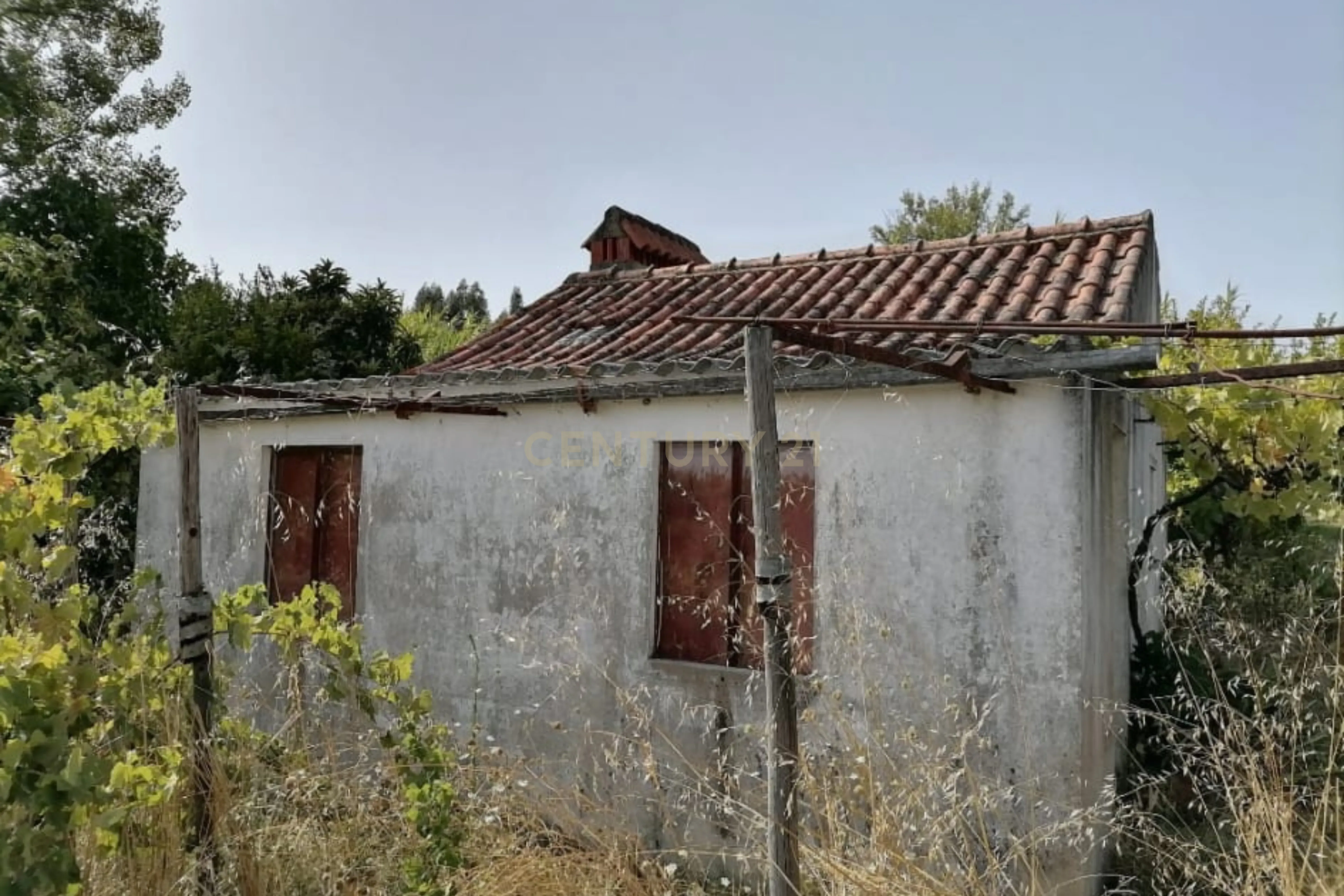 Fotografia 7 de Terreno Agrícola em Gavião, Portalegre - 2500m² com casa