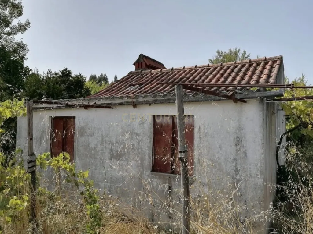 Terreno Agrícola em Gavião, Portalegre - 2500m² com casa - Image 7