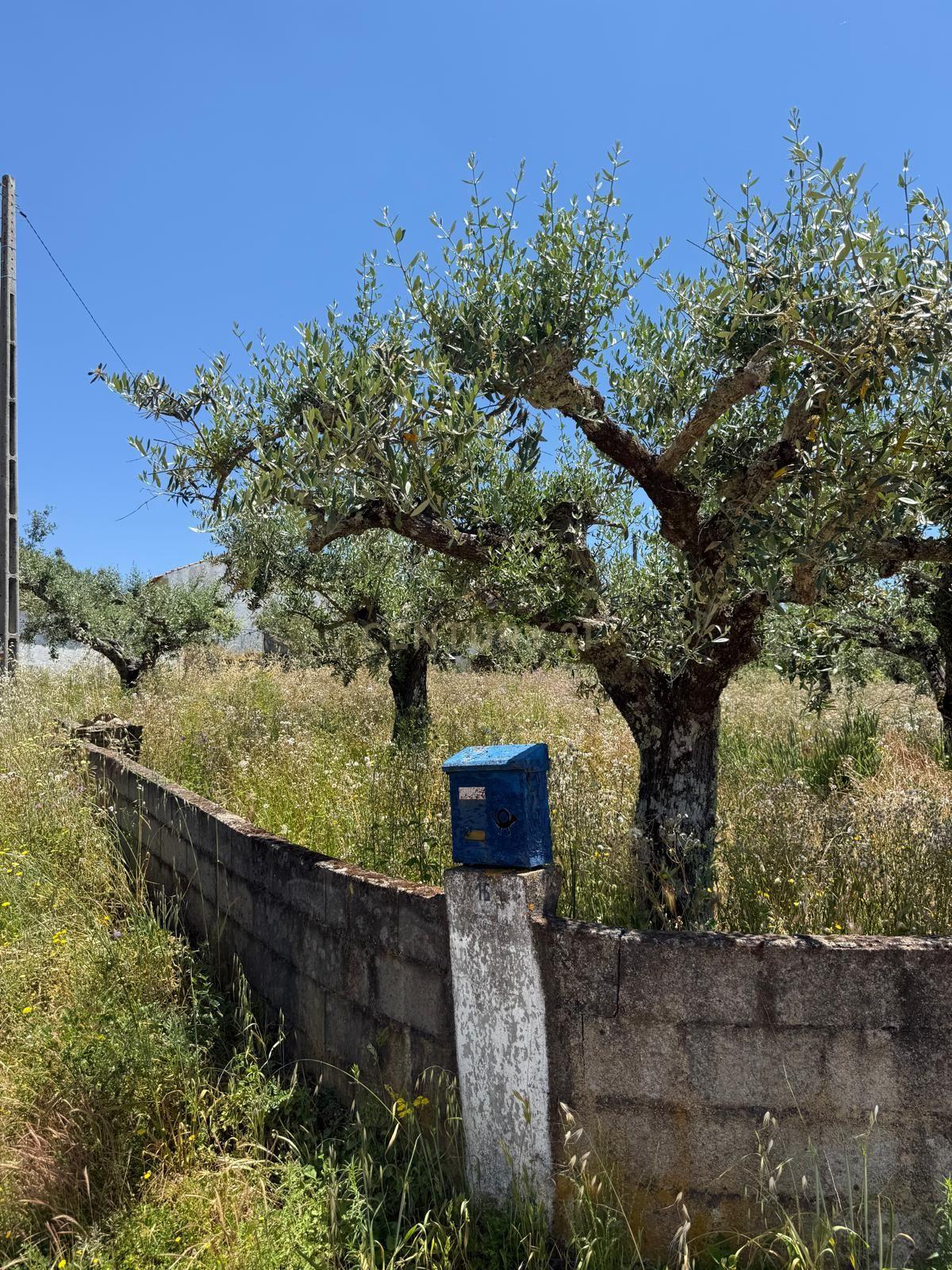 Moradia T1 à venda em Alegrete, Portalegre — foto 13