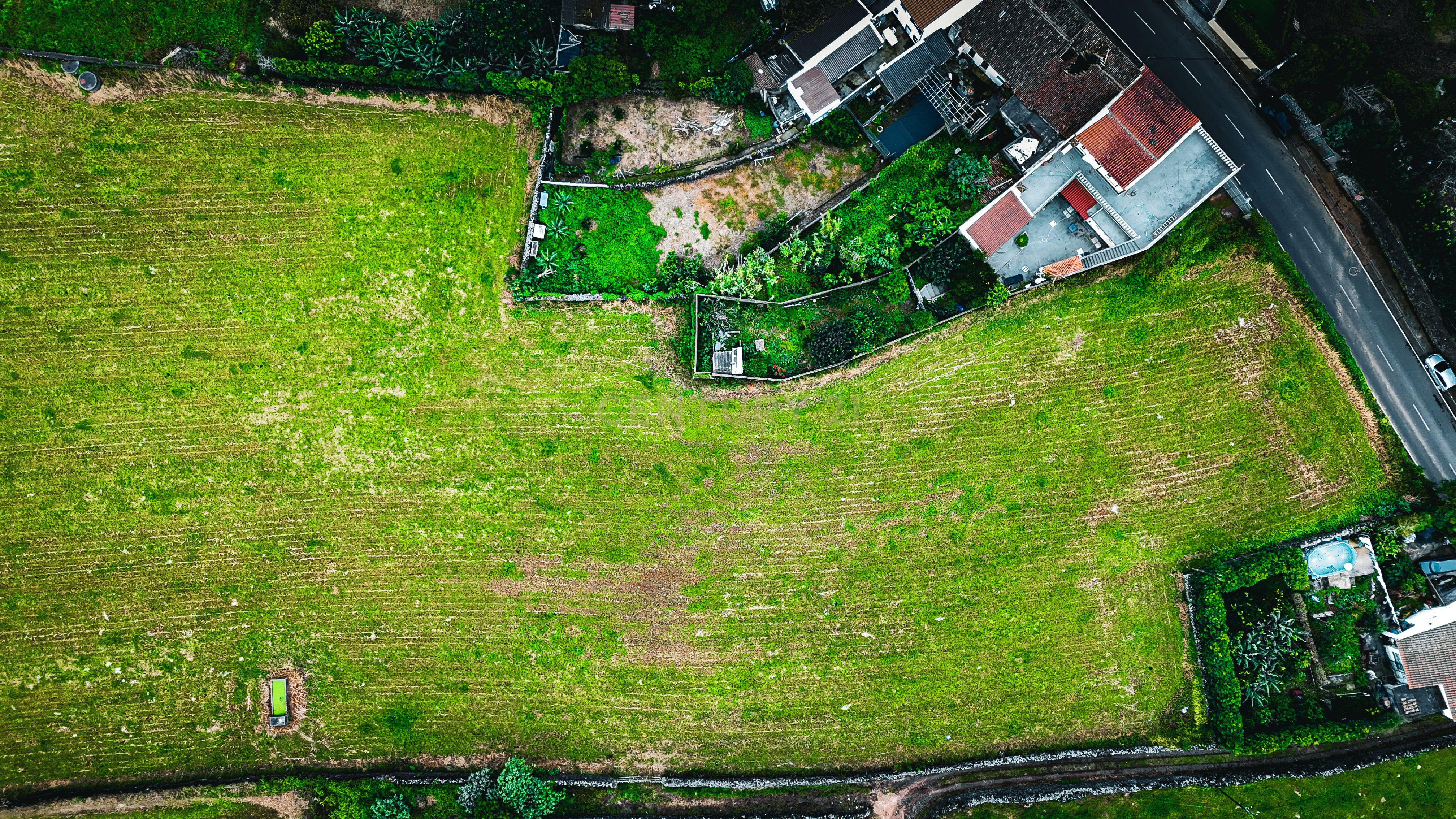 Fotografia 9 de Terreno com Potencial de Construção – Pico do Fogo de Cima, Livramento