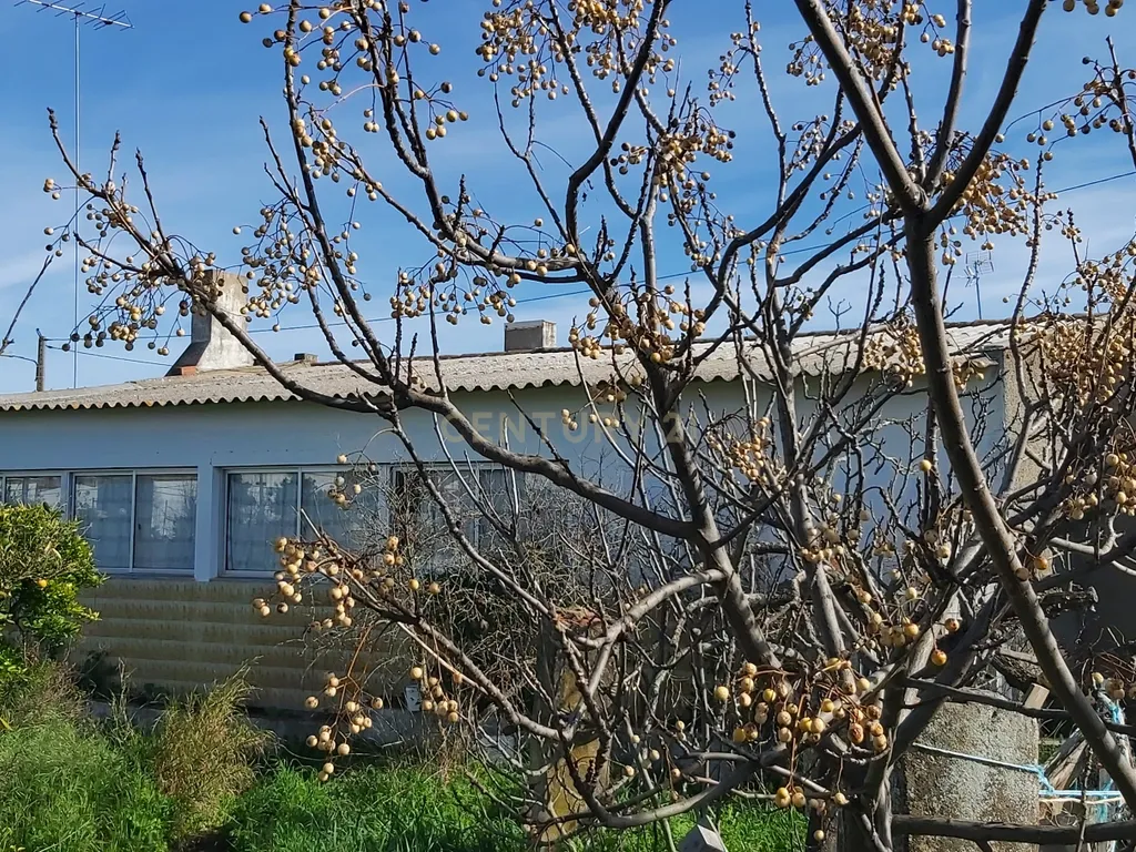 ✨ Terreno com 8.500 m² com 2 Moradia na encantadora Vila da Amareleja – Alentejo ✨ - Image 7