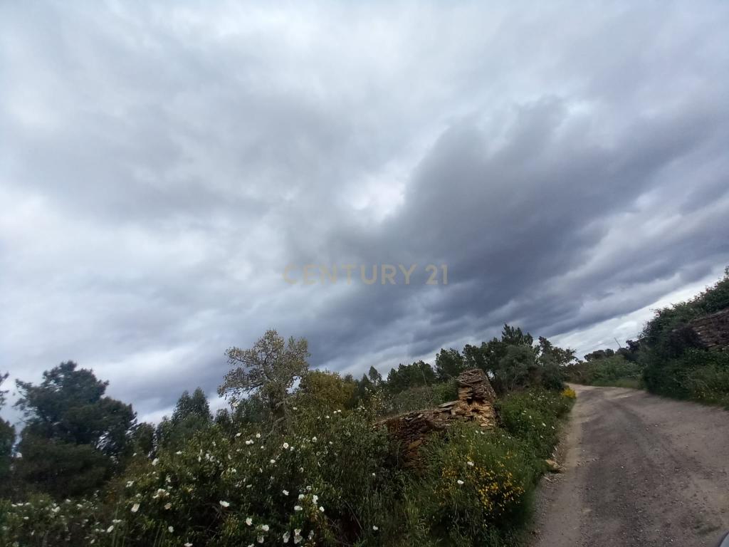 Terreno Panorâmico em Sarnadas de Ródão, Castelo Branco - Image 1
