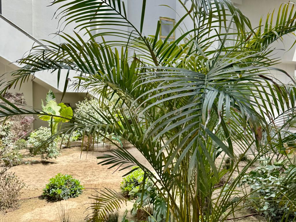 Apartamento Triplex T2 com Piscina Privada no Coração de Alcácer do Sal - Image 6