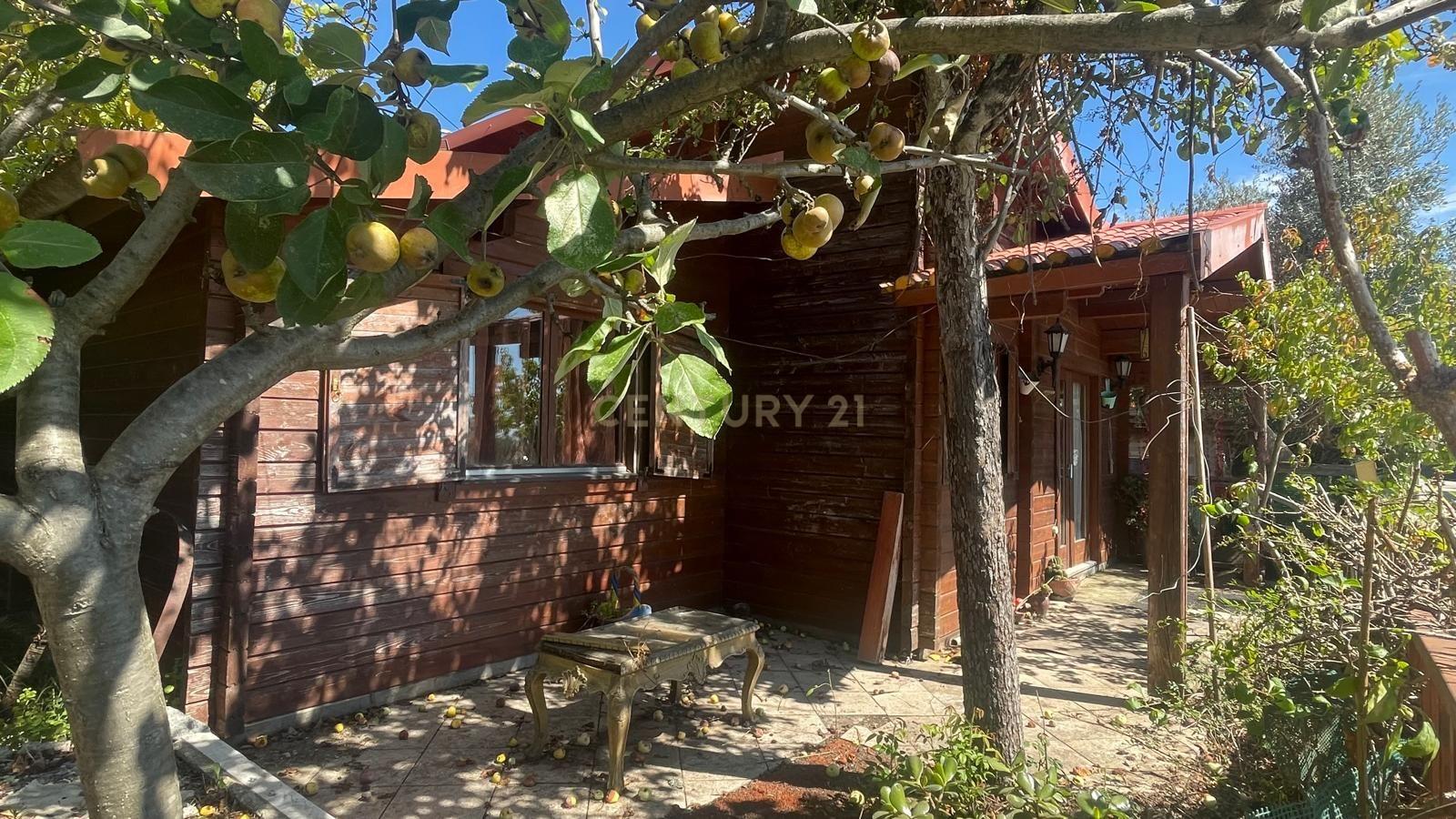 Fotografia 8 de Terreno com casa de madeira proximo do Sátão