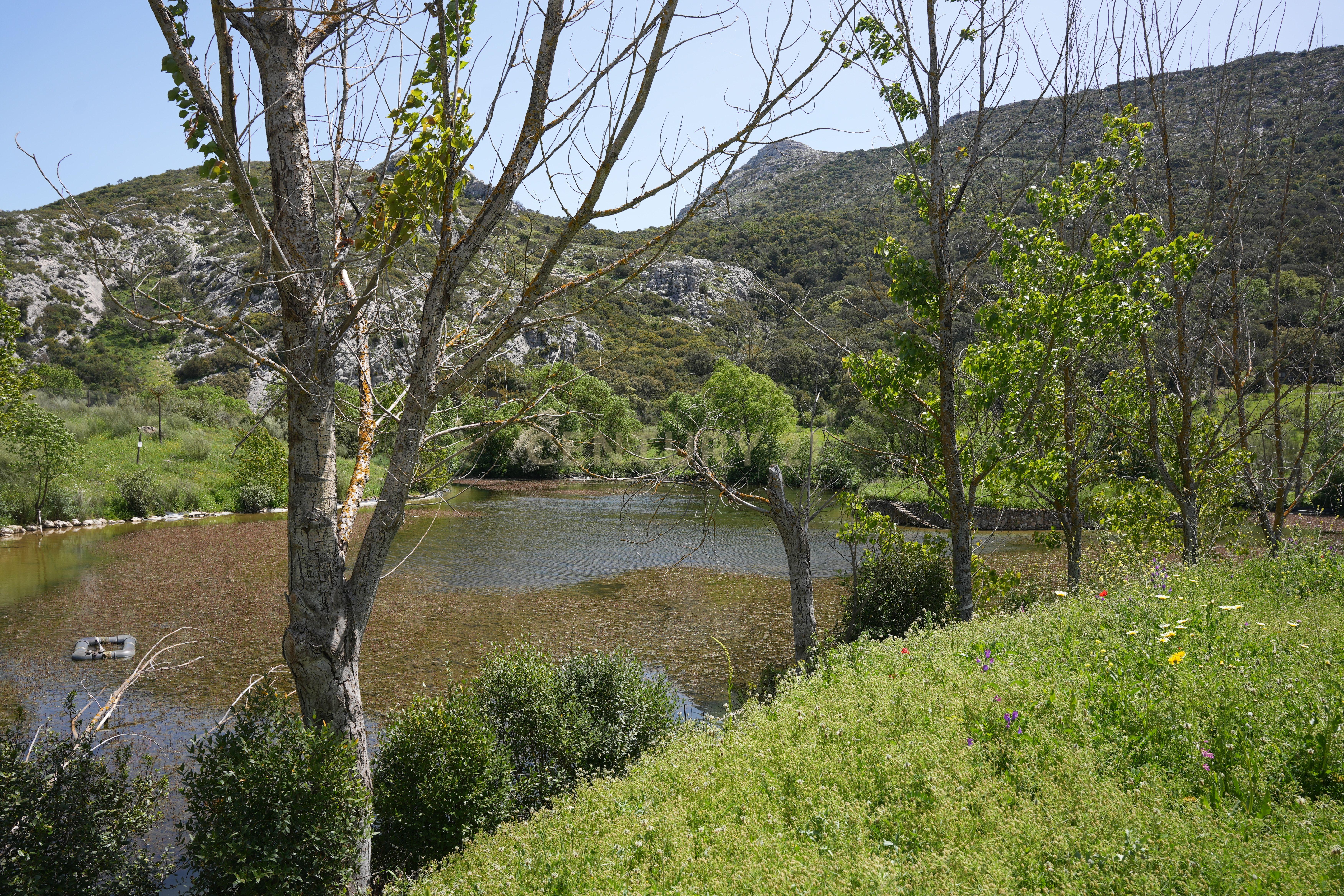 VENDA DE PROPRIEDADE RÚSTICA EM ANTEQUERA COM EXPLORAÇÃO DE AGROTURISMO - Image 60
