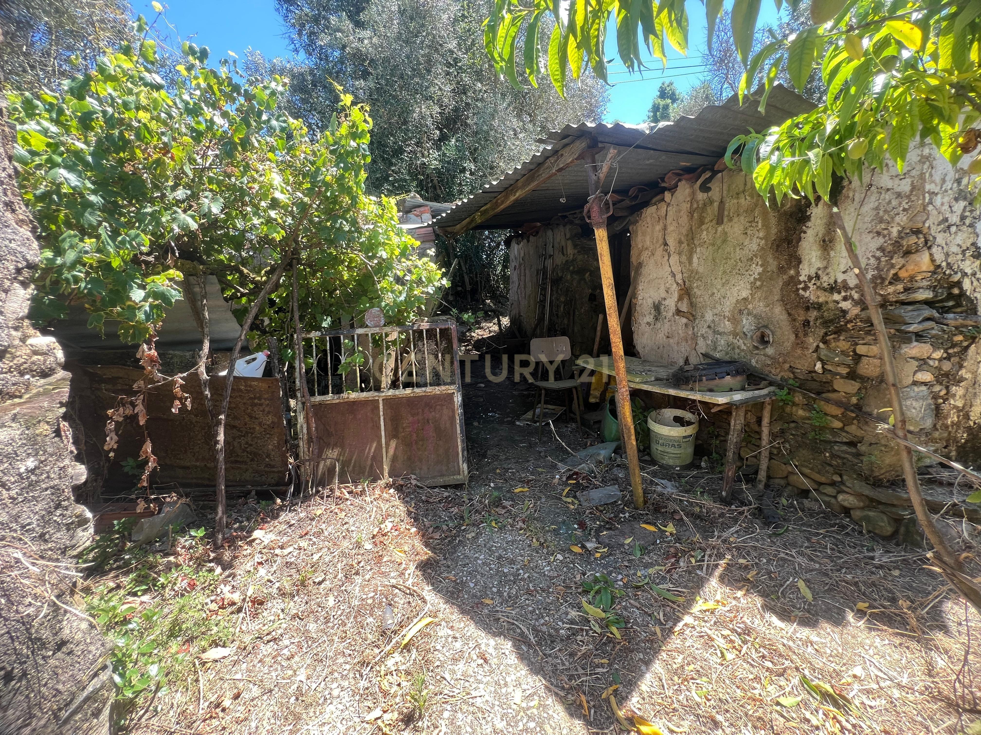 Casa para reconstrução total a 10 min da Praia Fluvial de Aldeia do Mato Abrantes - Image 12