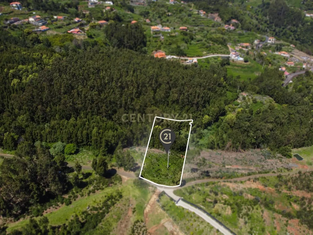 Terreno com Vista Mar e Viabilidade de Construção para Habitação Própria em Gaula - Image 14