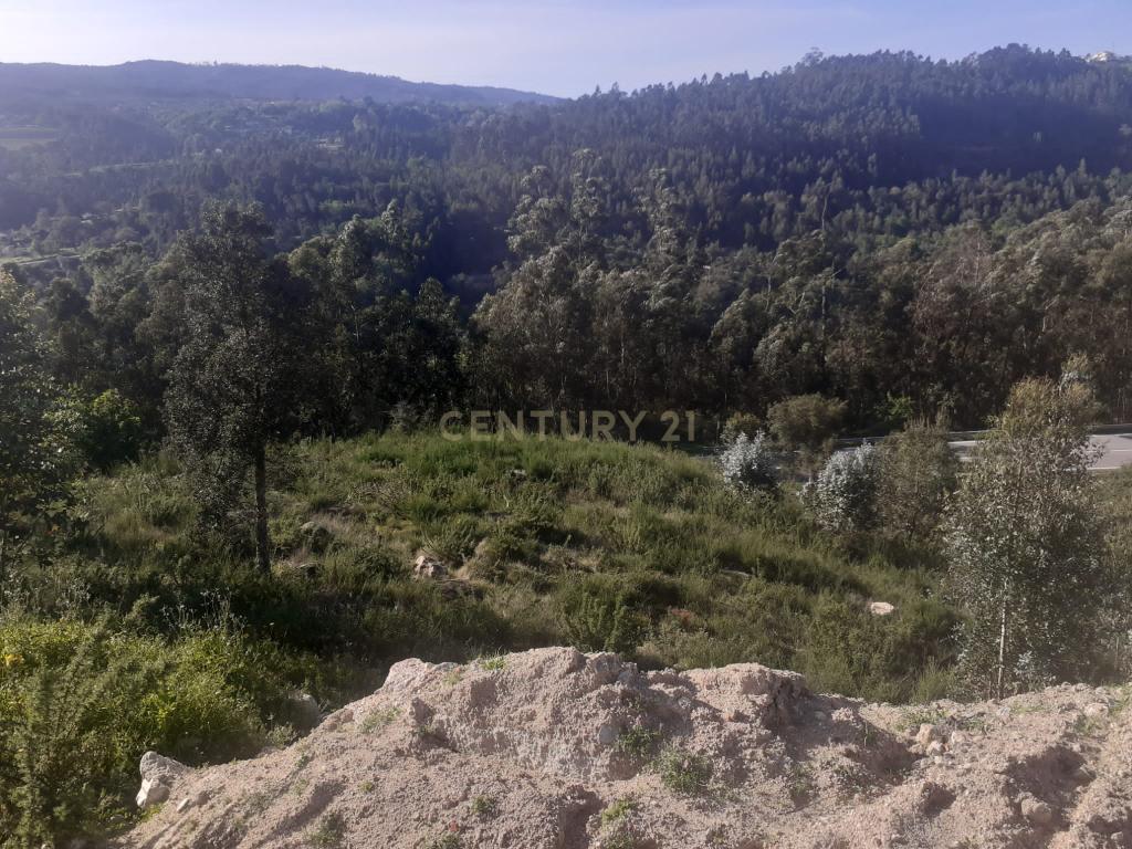 Terreno para construção - Torrão - Marco de Canaveses - Image 25