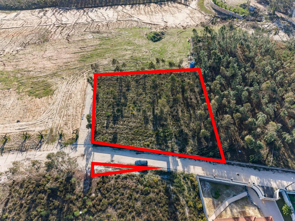 Terreno Rústico com Viabilidade de Construção — Barosa, Leiria - Image 16