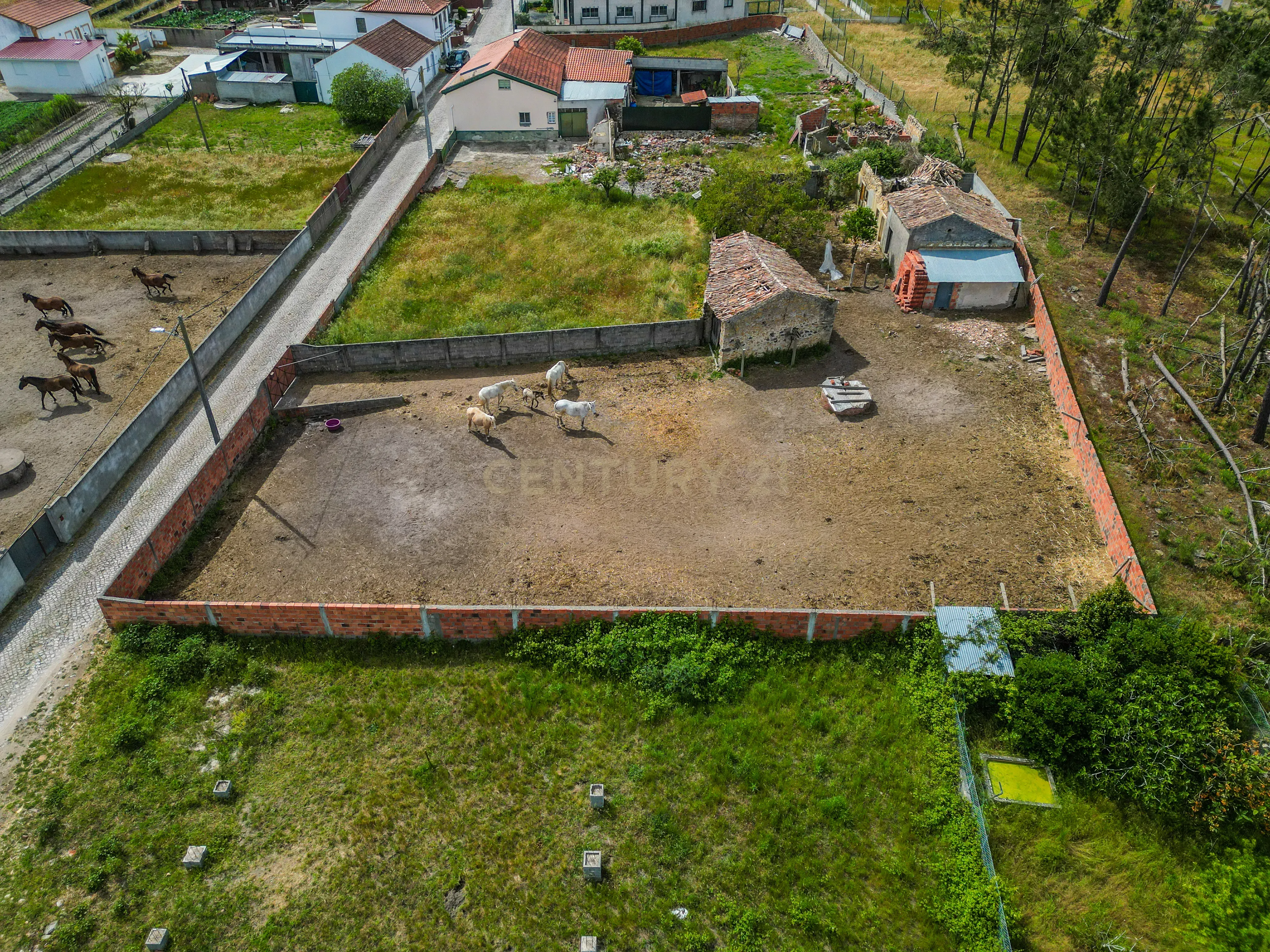 Fotografia 12 de Moradia Rústica para reabilitar em Vieira de Leiria, com terreno, a cerca de 5 minutos da Praia da Vieira