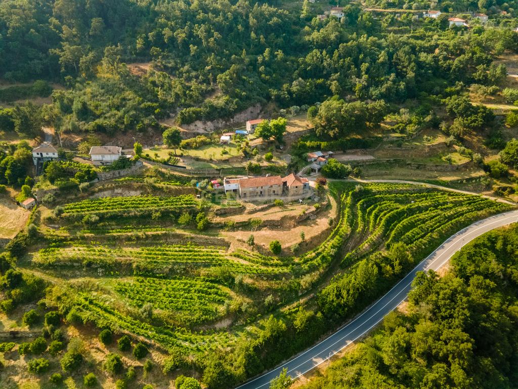 Quinta com Vista Deslumbrante sobre o Rio Douro – Projeto Aprovado para Hotel Rural | Paços de Gaiolo - Image 12