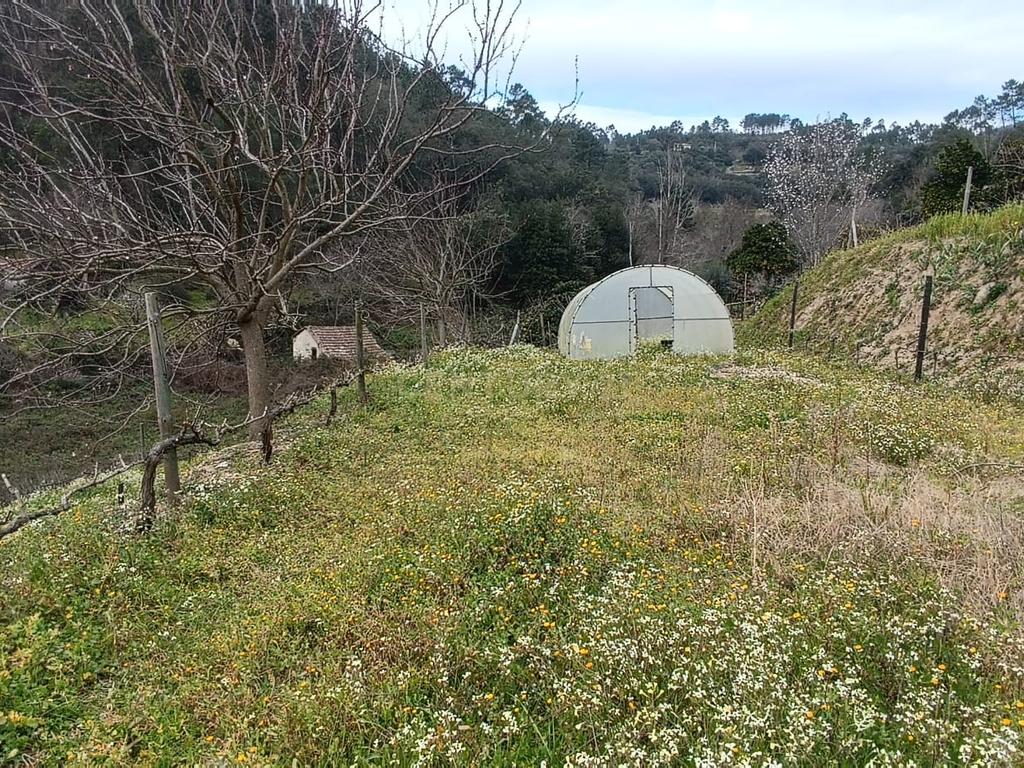 Casa com terreno de construção e agrícola perto do rio Douro em Granja, S. Tomé de Covelas, Baião, Porto - Image 21
