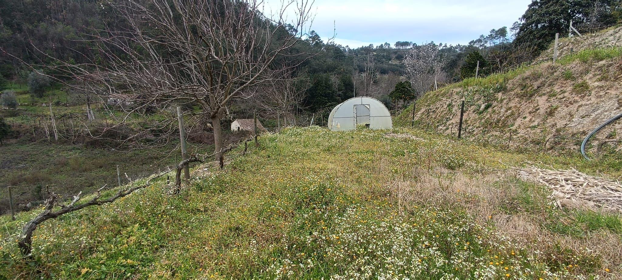Terreno agrícola com àgua e viabilidade de construção em Granja, S. Tomé de Covelas, Baião, perto do do rio Douro, Porto - Image 12