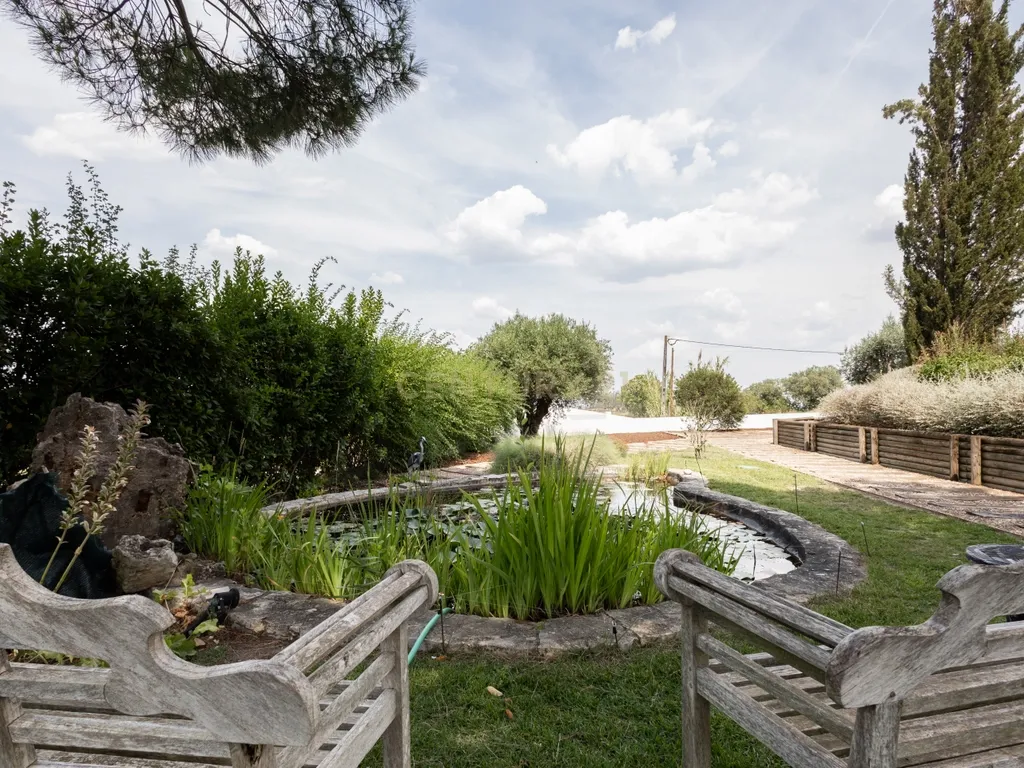 Propriedade Única com Piscina, Lago e Produção de Azeite - Image 48
