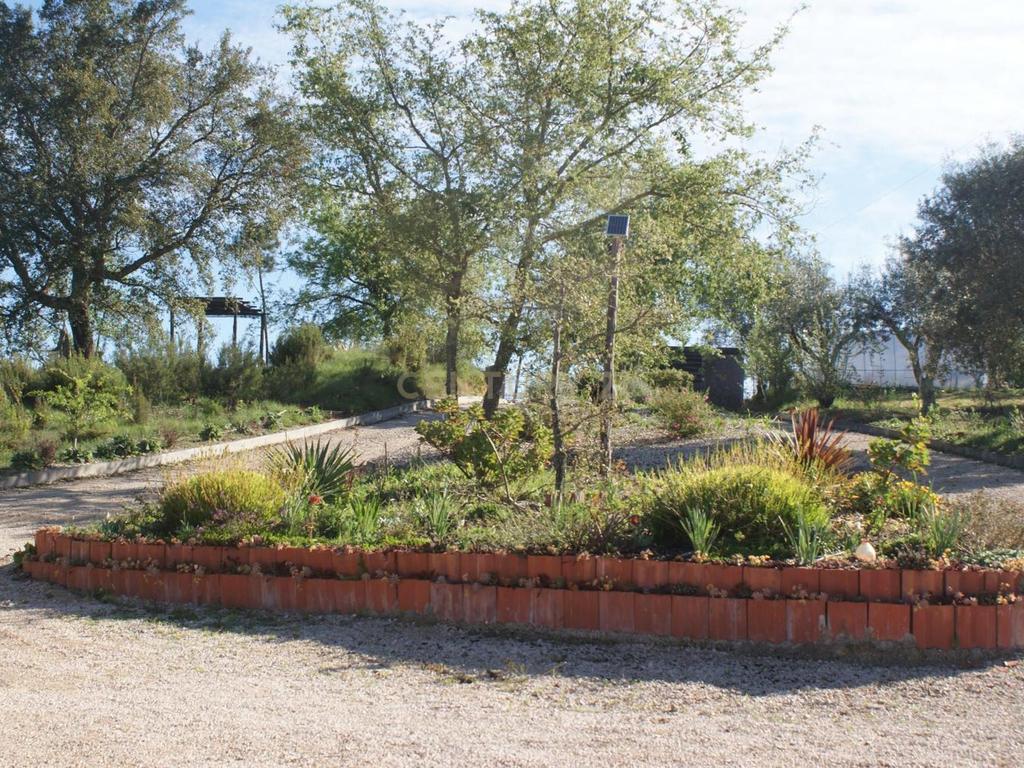 Quinta de Charme no Centro de Portugal – Natureza, Privacidade e Potencial Turístico em 2,9 Hectares - Image 14