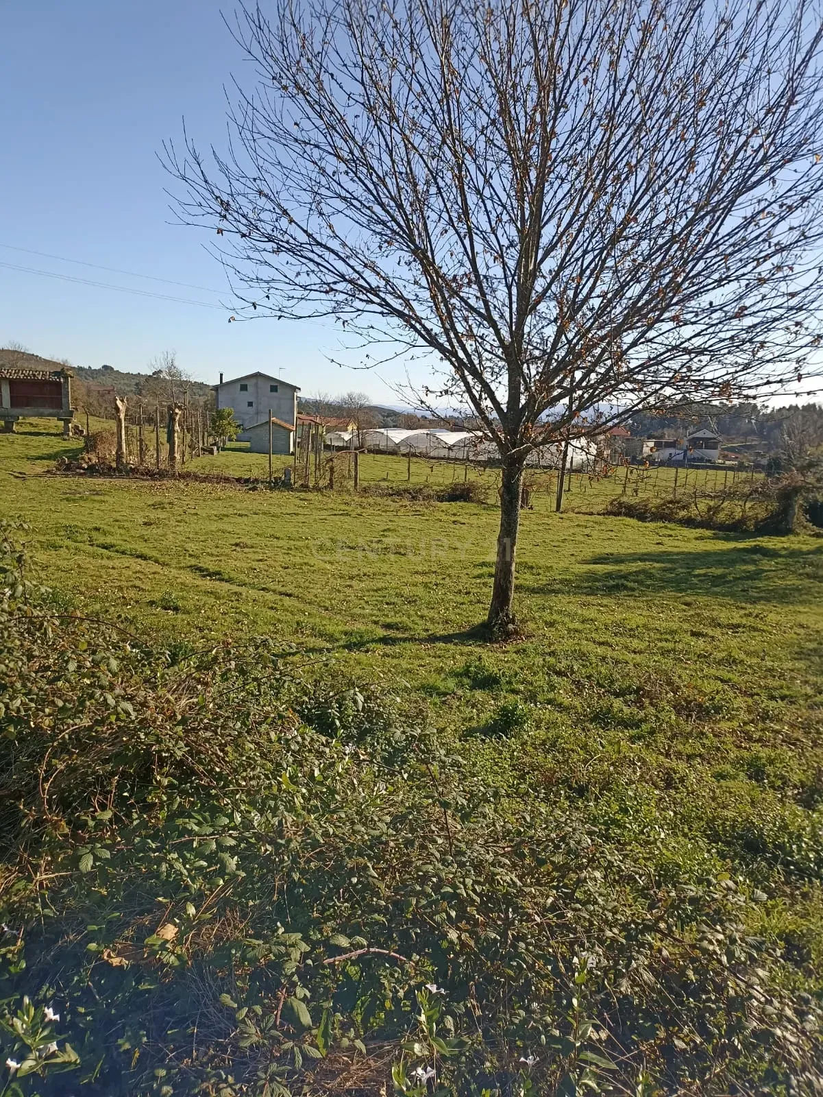 Moradia T3 à venda em Serzedelo, Póvoa de Lanhoso — foto 9