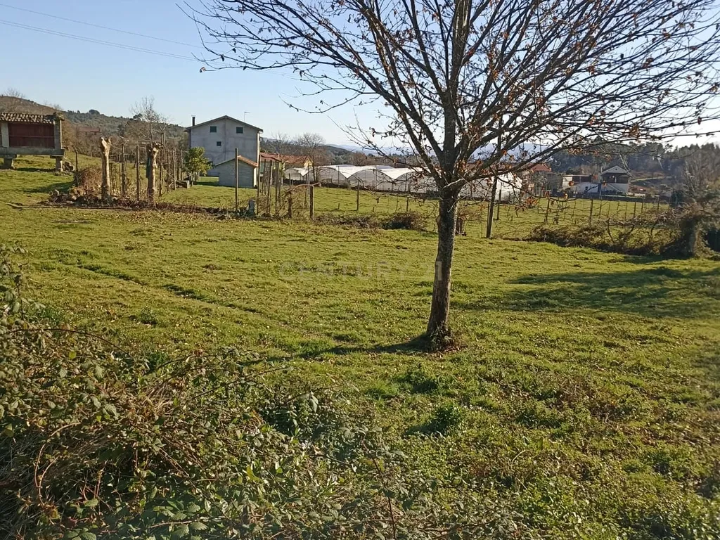 Quintinha Única com 6000m² de Terreno Construtivo – Serzedelo, Póvoa de Lanhoso - Image 9