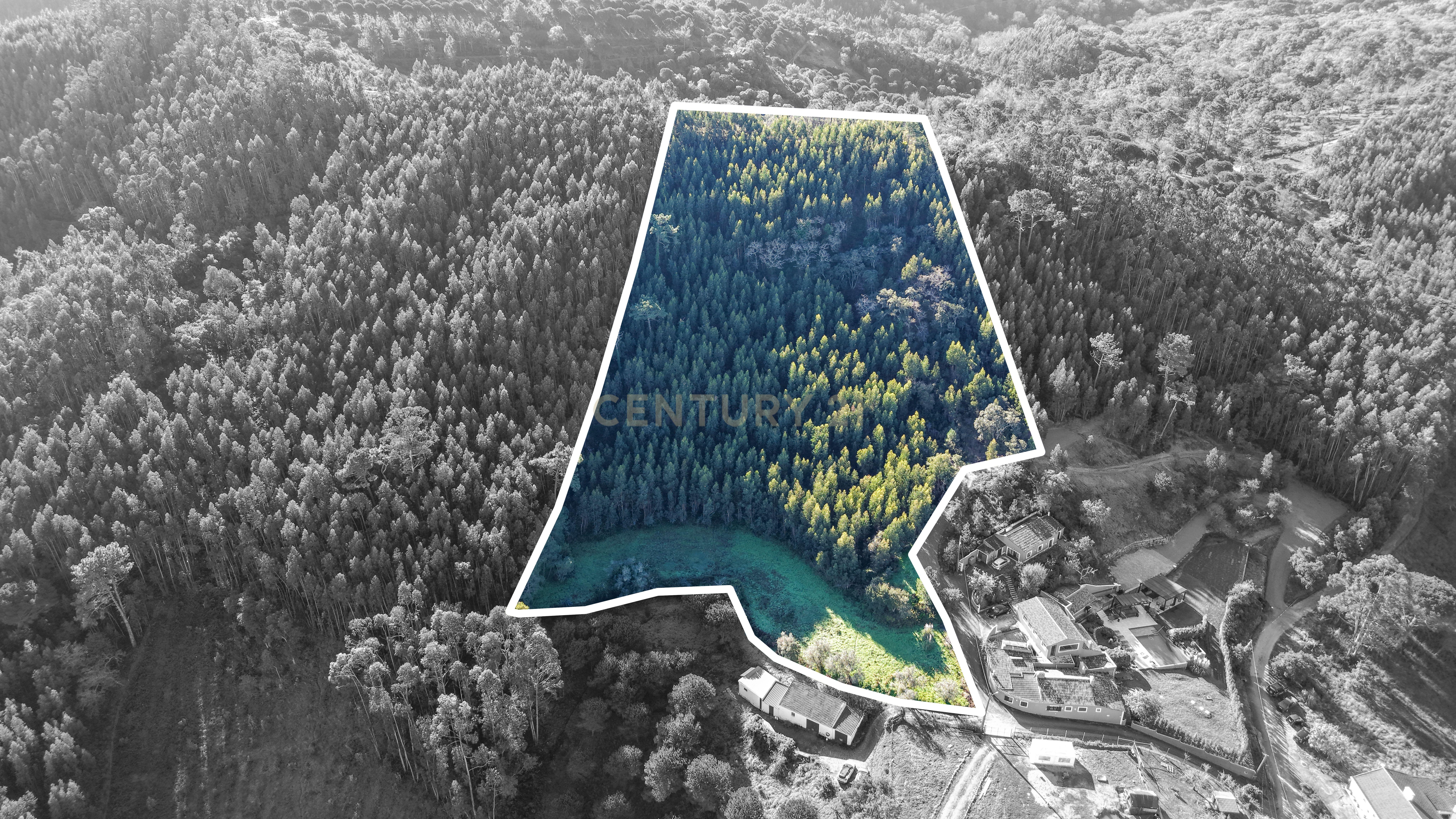 Fotografia 12 de Terreno com projeto aprovado de Moradia Isolada T3 - Picão