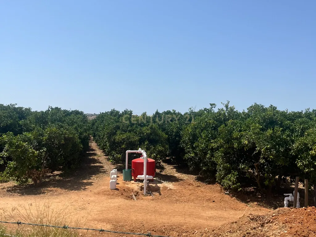 Quinta com 208.790m2, em Plena produção de Citrinos, e estufas, com elevado rendimento. Grande Potencial para projetos com fundos Europeus, e Turismo Rural. - Image 12