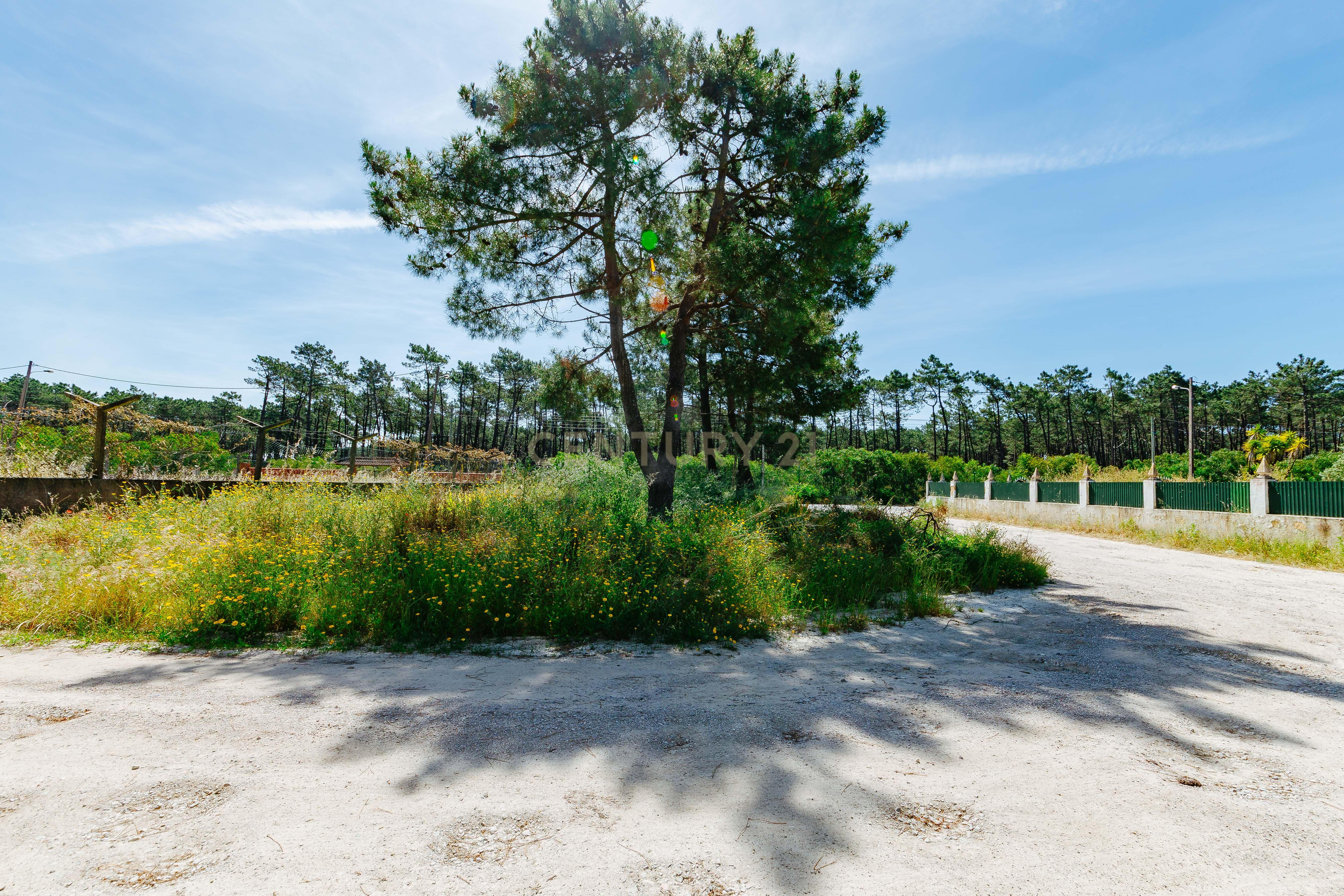 Fotografia 11 de Terreno Urbano na Charneca de Caparica | Pinhal da Aroeira