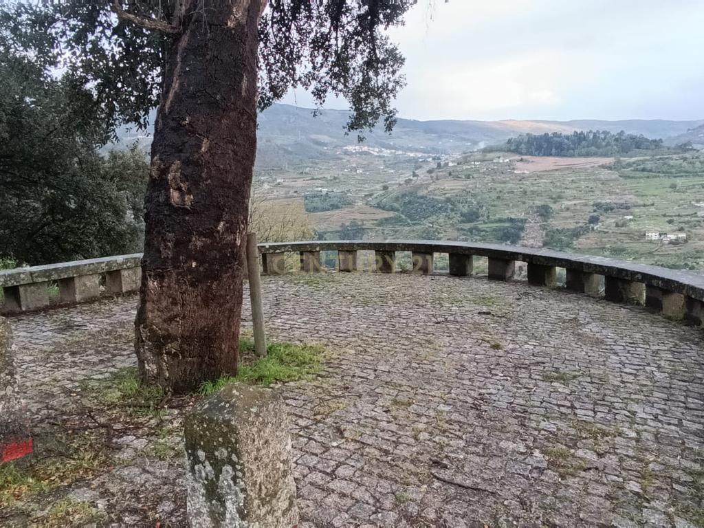 Terreno florestal com vista para a praia fluvial de Porto de Rei em Barqueiros, Mesão Frio às portas do Douro - Image 42