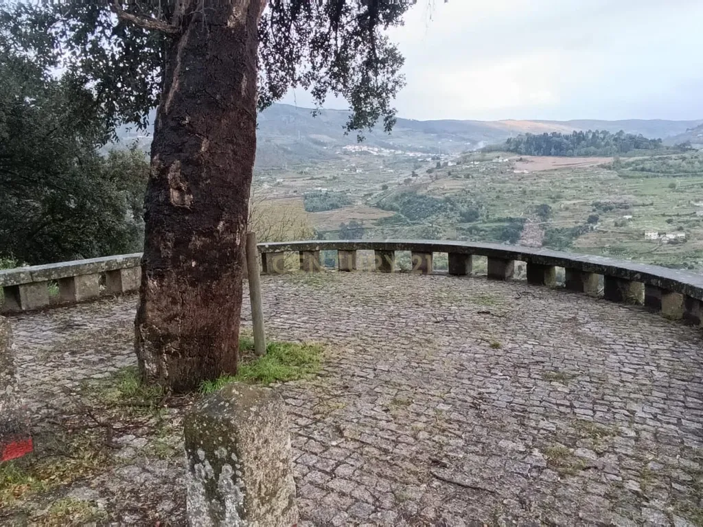 Terreno florestal com vista para a praia fluvial de Porto de Rei em Barqueiros, Mesão Frio às portas do Douro - Image 42