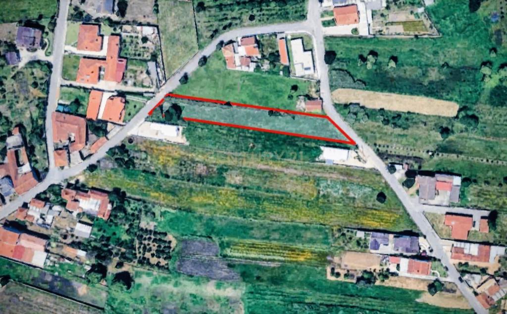 Terreno Rústico de Excelência no Troviscal – 1.836,52 m² - Image 1