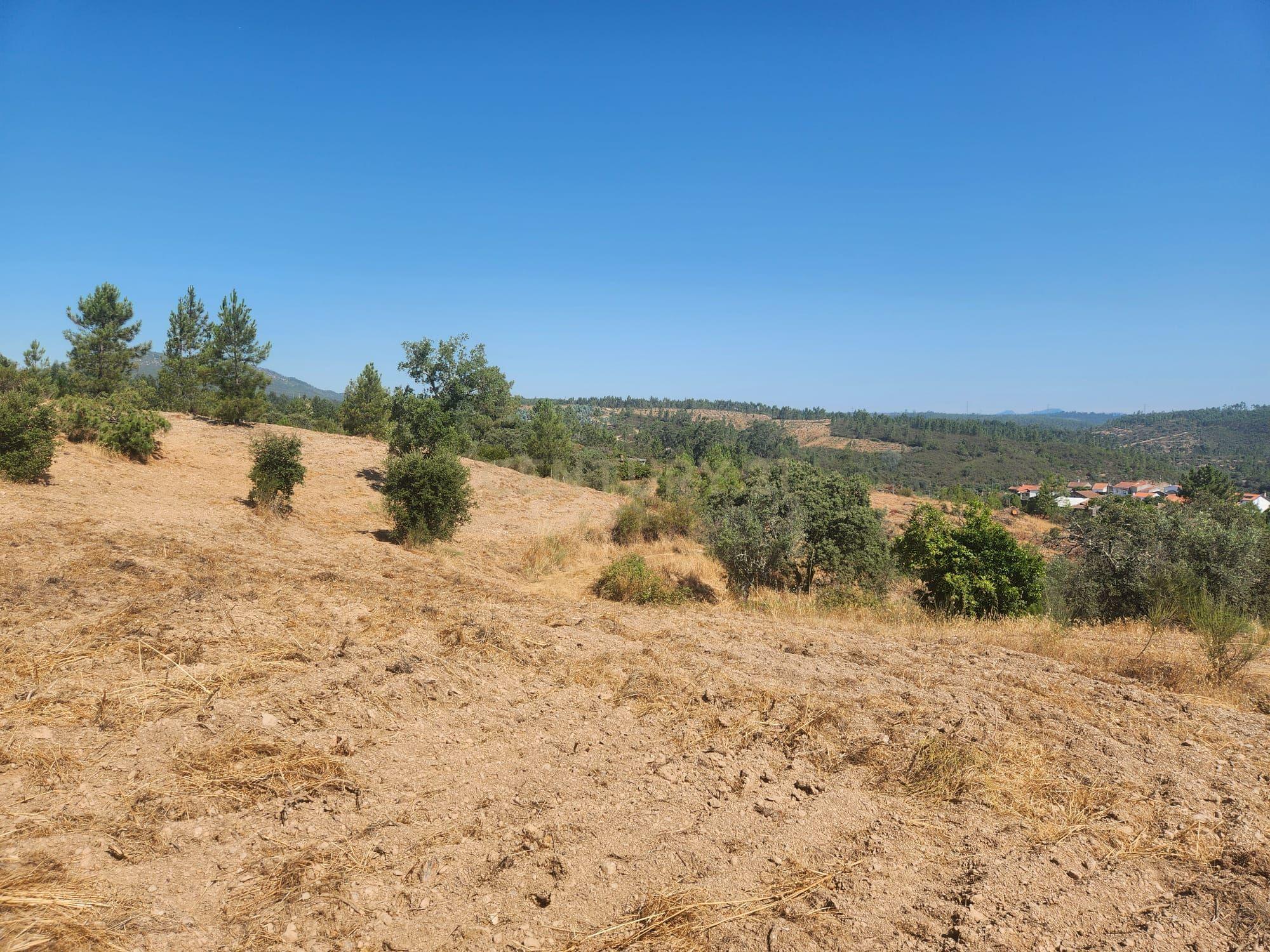 Fotografia 4 de Terreno com Vistas Panorâmicas e Dois Poços em Tostão- Vila Velha de Ródão